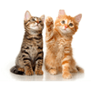 undefined KATZ Radio