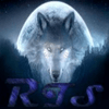 undefined radio-team-spirit
