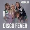 undefined NOSTALGIE DISCO FEVER