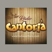 Radio Radio Cantoria