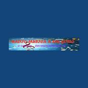 Radio Radio Musica a Seu Gosto