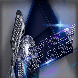 Das Wilde Hitradio