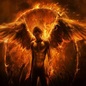 Dark And Angel Musicroom