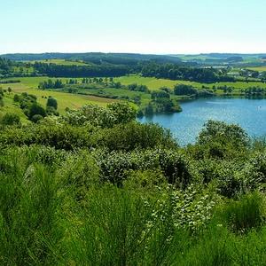 Eifelsucht