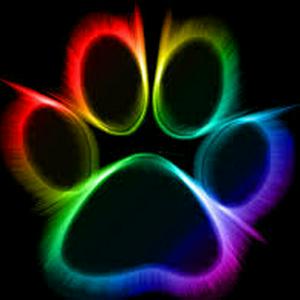 Furry Radio