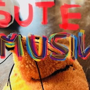 Gute Musik 
