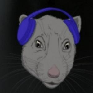 Kanalratten