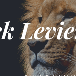 Patrick Levien Fan Radio