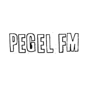 Höre pegelfm in der App.