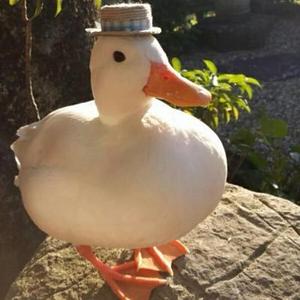 Quack FM