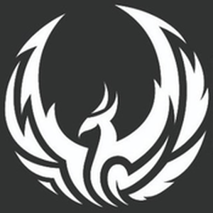 radio-phoenixsystem