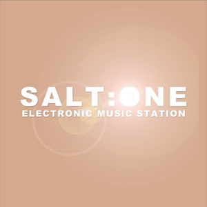 salt-one