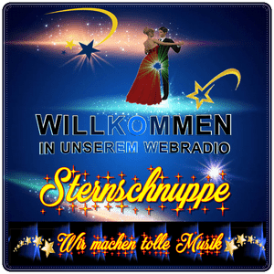 radio sternschnuppe