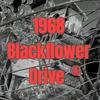 undefined 1968 Blackflower Drive