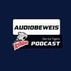 undefined Audiobeweis - Der Ice Tigers Podcast