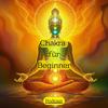undefined Chakra für Beginner — ohne Esoterik-Nebel und ohne die Wissenschaft zu ignorieren.