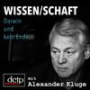 undefined Darwin und kein Ende