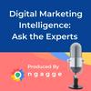 undefined Digital Marketing Intelligence for Shopify: Ask the Experts