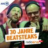 undefined Do You Remember? - 30 Jahre Beatsteaks