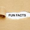 undefined Fun Facts