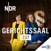 undefined Gerichtssaal 237. True Crime aus dem Strafgericht