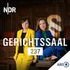 undefined Gerichtssaal 237. True Crime aus dem Strafgericht