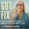 undefined Gut Fix | Natural Remedies for IBD | Digestive Issues, Nutrition, Fatigue, Chronic Stress, Ulcerative Colitis