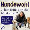 undefined Hundewohl ...dein Hund spricht, hörst du zu?
