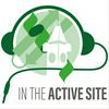 undefined In the Active Site