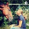 undefined Pferd und Mensch - Ein Tagebuch