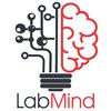 undefined LabMind