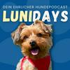 undefined Lunidays - Dein ehrlicher Hundepodcast