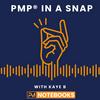 undefined PMP In A Snap