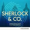 undefined Sherlock & Co.