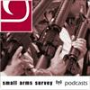undefined Small Arms Survey podcast