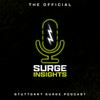 undefined Surge Insights - Der offizielle Stuttgart Surge-Podcast