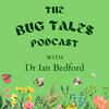undefined The Bug Tales Podcast