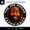 undefined The Joe Rogan Experience