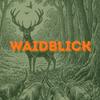 undefined WAIDBLICK