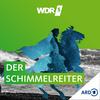 undefined WDR 5 Der Schimmelreiter - Hörbuch