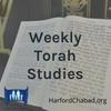 undefined Weekly Torah Studies