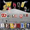 undefined What Would You Believe?