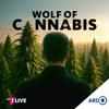 undefined Wolf of Cannabis