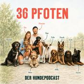 Podcast 36 Pfoten - Der Hundepodcast