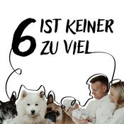 Podcast 6 ist keiner zu viel