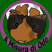 Podcast A Misura di Odo