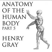 Podcast Anatomy of the Human Body, Part 5 (Gray's Anatomy) by Henry Gray (1827 - 1861)