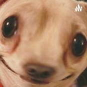 Podcast ANECDOTA CHISTOSA