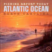 Podcast Atlantic Ocean, North Carolina Fishing Report Today