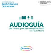 Podcast Audioguía del nuevo proceso constitucional